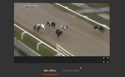 888sport greyhound racing live streaming