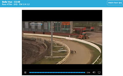BetVictor greyhound racing live streaming