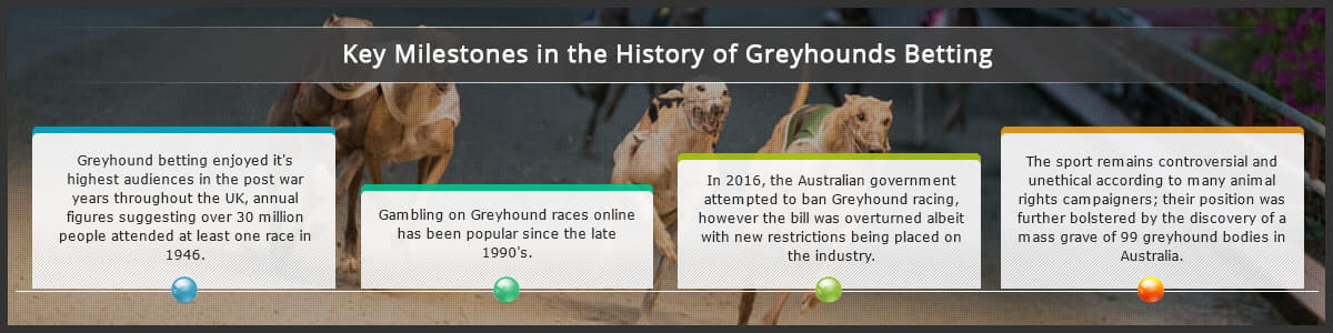 The history of greyhound racing, from its huge popularity in the post way years to the rise of online gambling to its more recent controversies